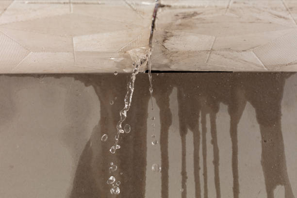 Professional Water Damage Repair technician working in Addison, TX